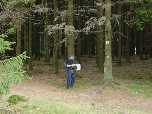 de weg zoeken in het donkere bos