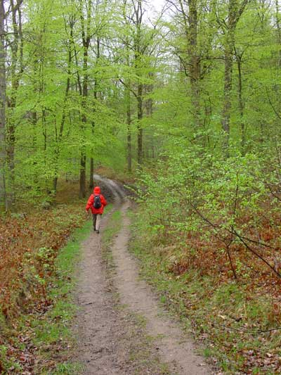 starten in de regen