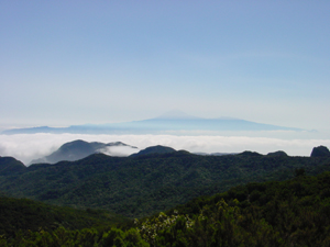 Tenerife in de wolken