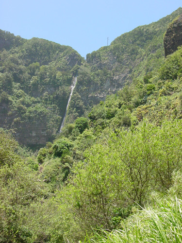 waterval in het groen