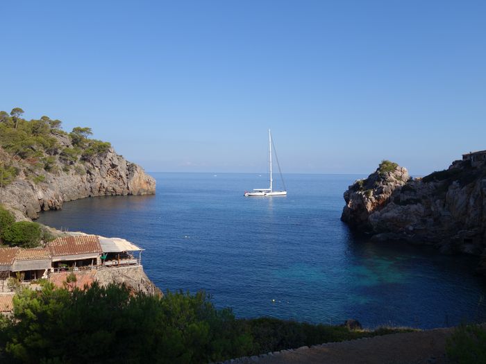 baai deia