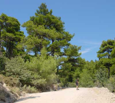 Zandweg Mylitini