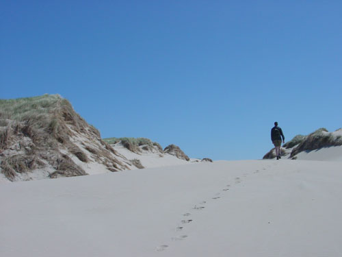 over de duinen