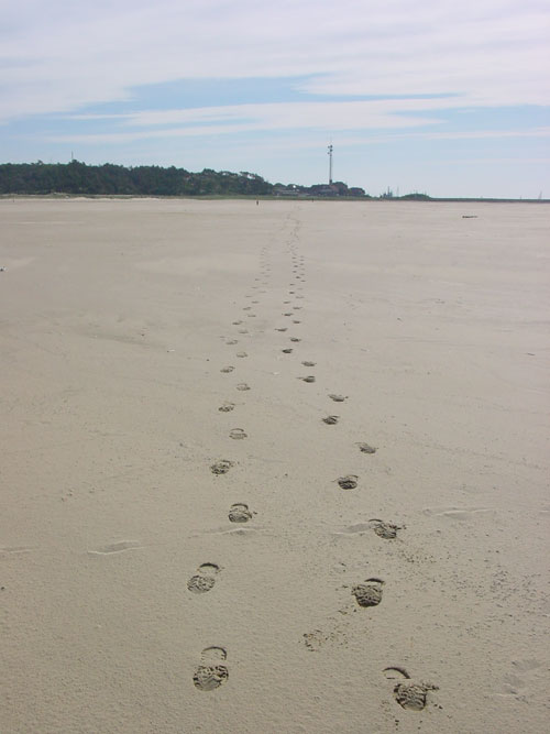 voetstappen in het zand