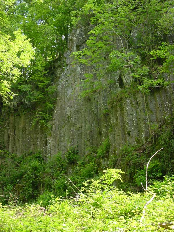 basaltzuilen in de Wolfsslucht