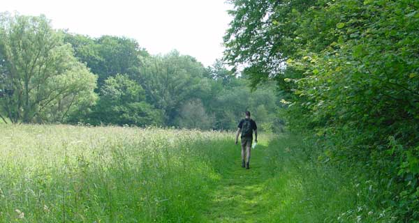 bos en gras 