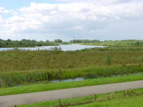 natuurgebied met veel vogels