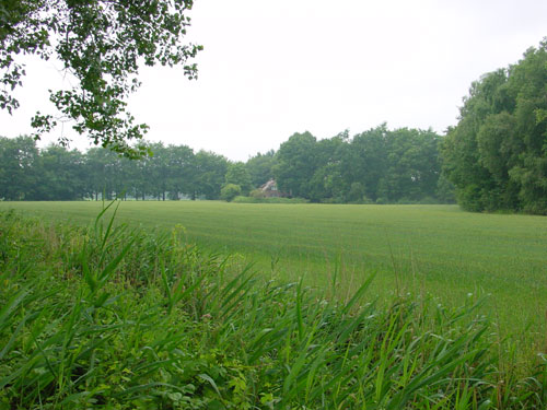 boerderij tussen de bomen