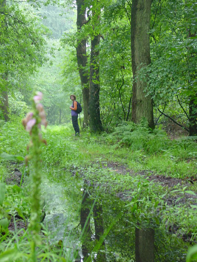 grote plassen op de paden