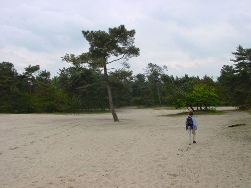 de start over het zand