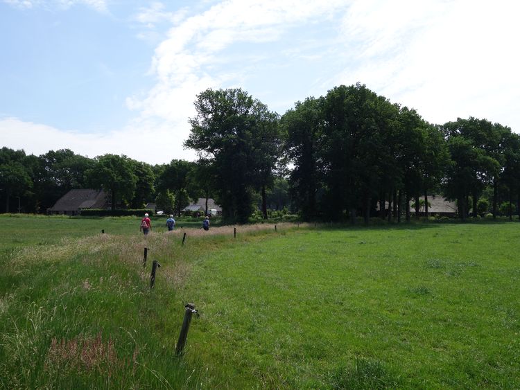 boerderij