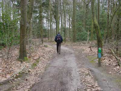 hj in het bos