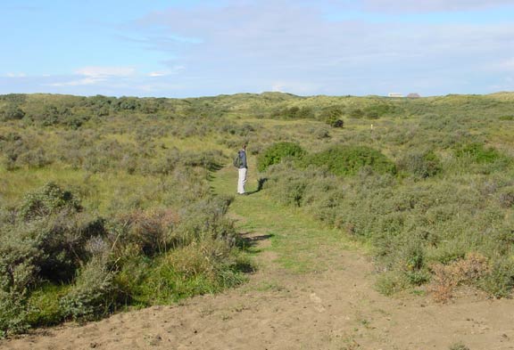 hj in de duinen