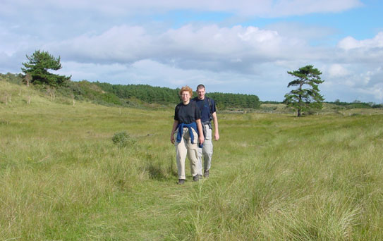 ganzepas door het grasland