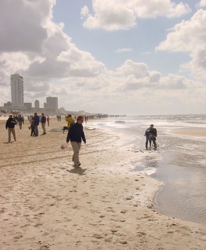 strand met veel wind en zon