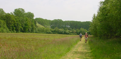 bos, heide en water wisselen elkaar as