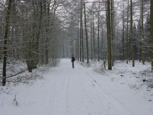 sneeuw, sneeuw en nog eens sneeuw