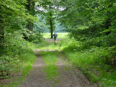 Ruurlo zomer 2001